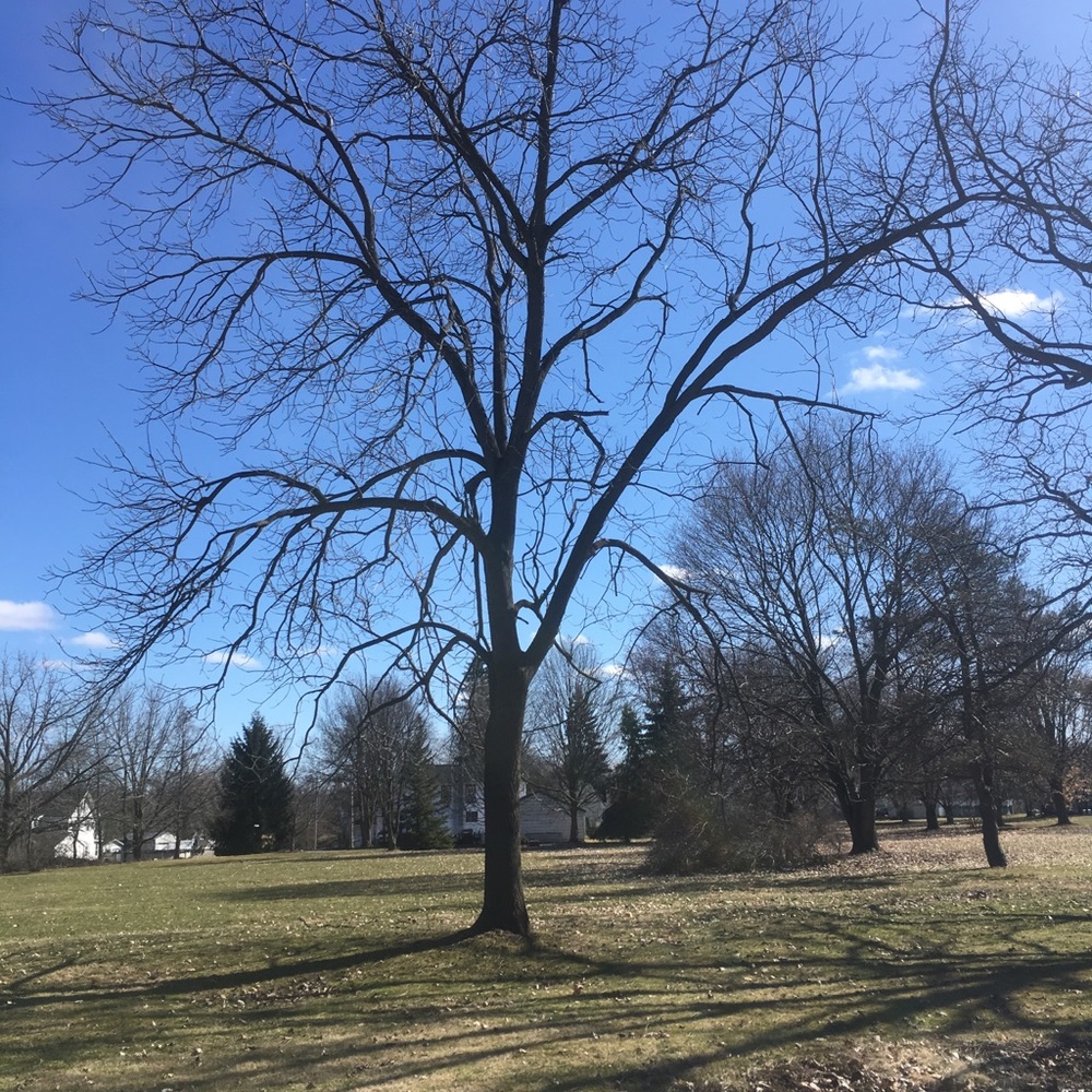 Meet your Posher, Cheryl